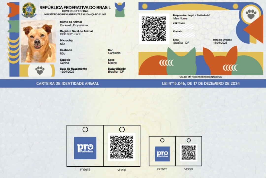 Exemplo do RG Pet